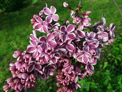 Photo from 23 May 2015
