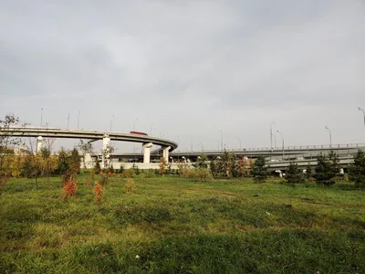 Novokhovrino, Russia — 11 October 2020