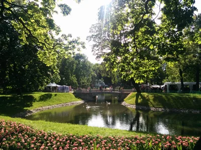 Photo from 13 June 2015