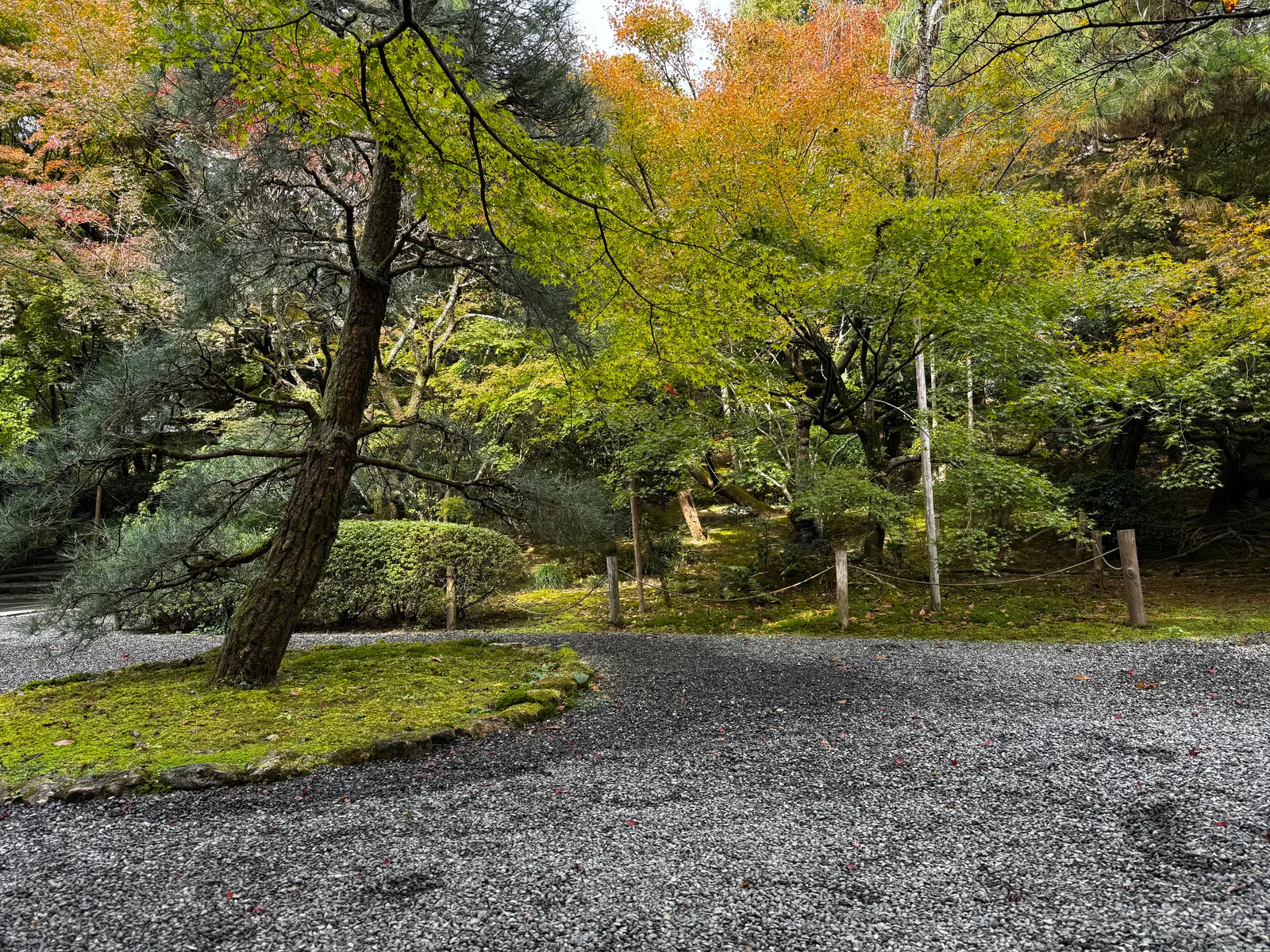 Kyoto, Japan — 24 November 2024