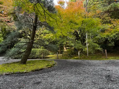 Kyoto, Japan — 24 November 2024