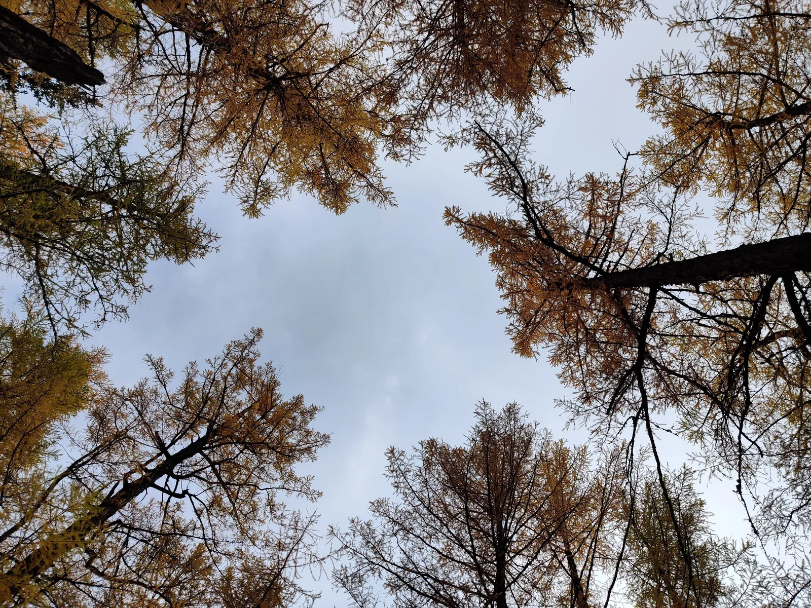 Photo from 22 September 2020