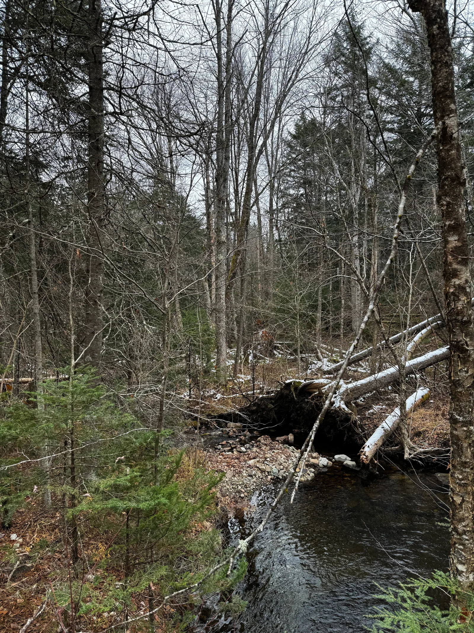 North Haverhill, United States — 12 November 2023