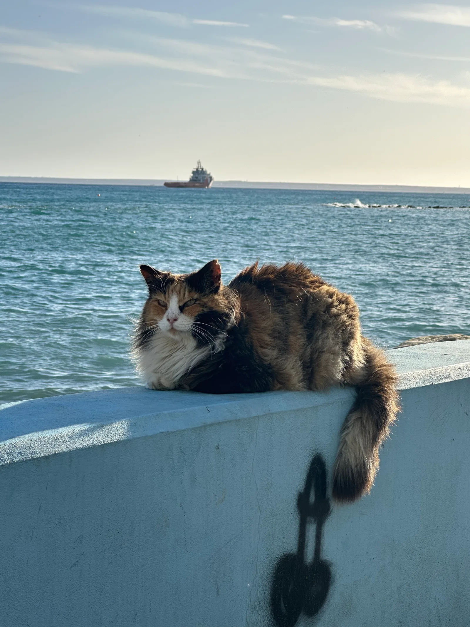 Limassol, Cyprus — 28 January 2023