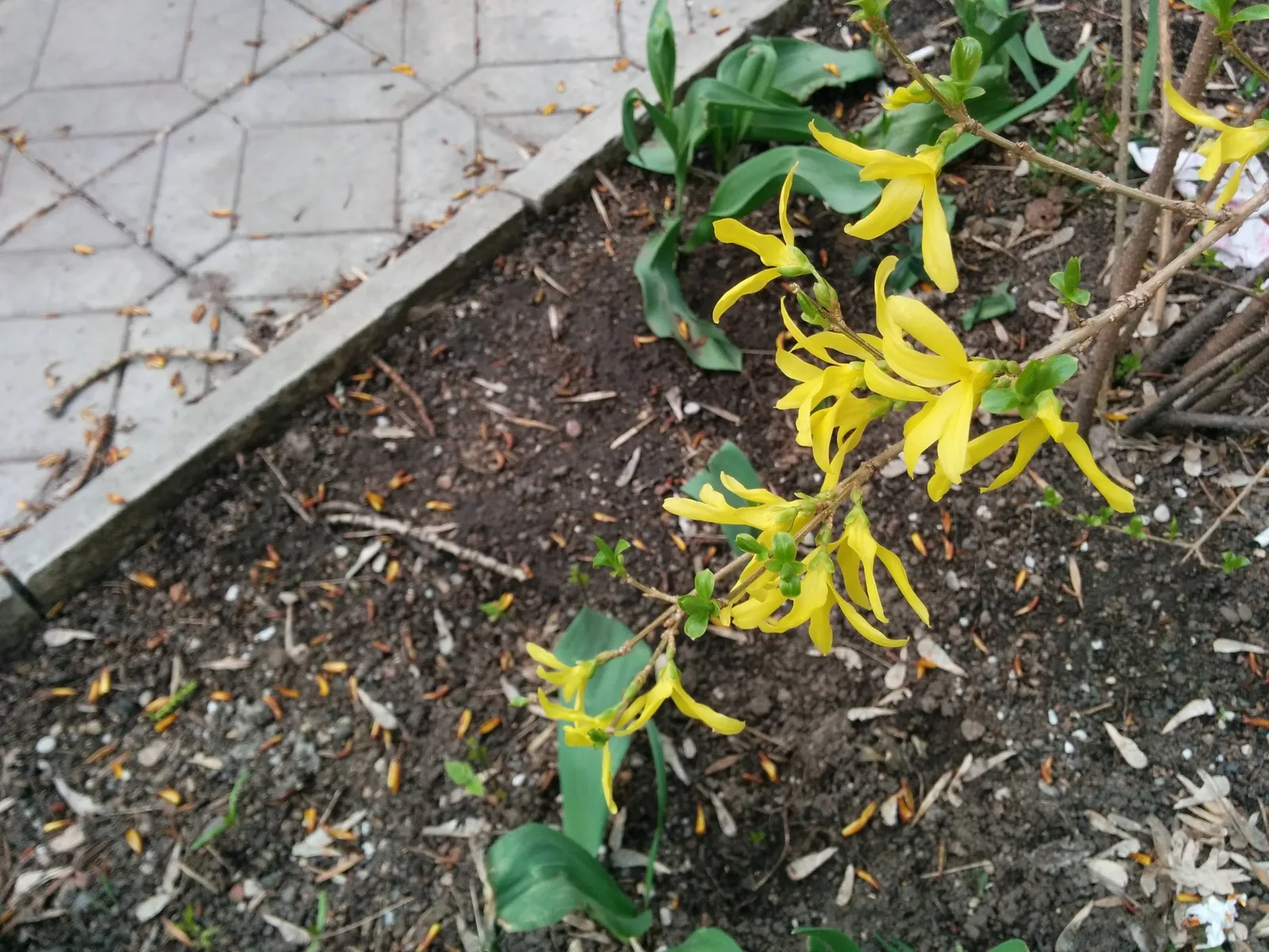 Photo from 29 April 2015