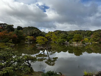 Kamigyō-ku, Japan — 24 November 2024