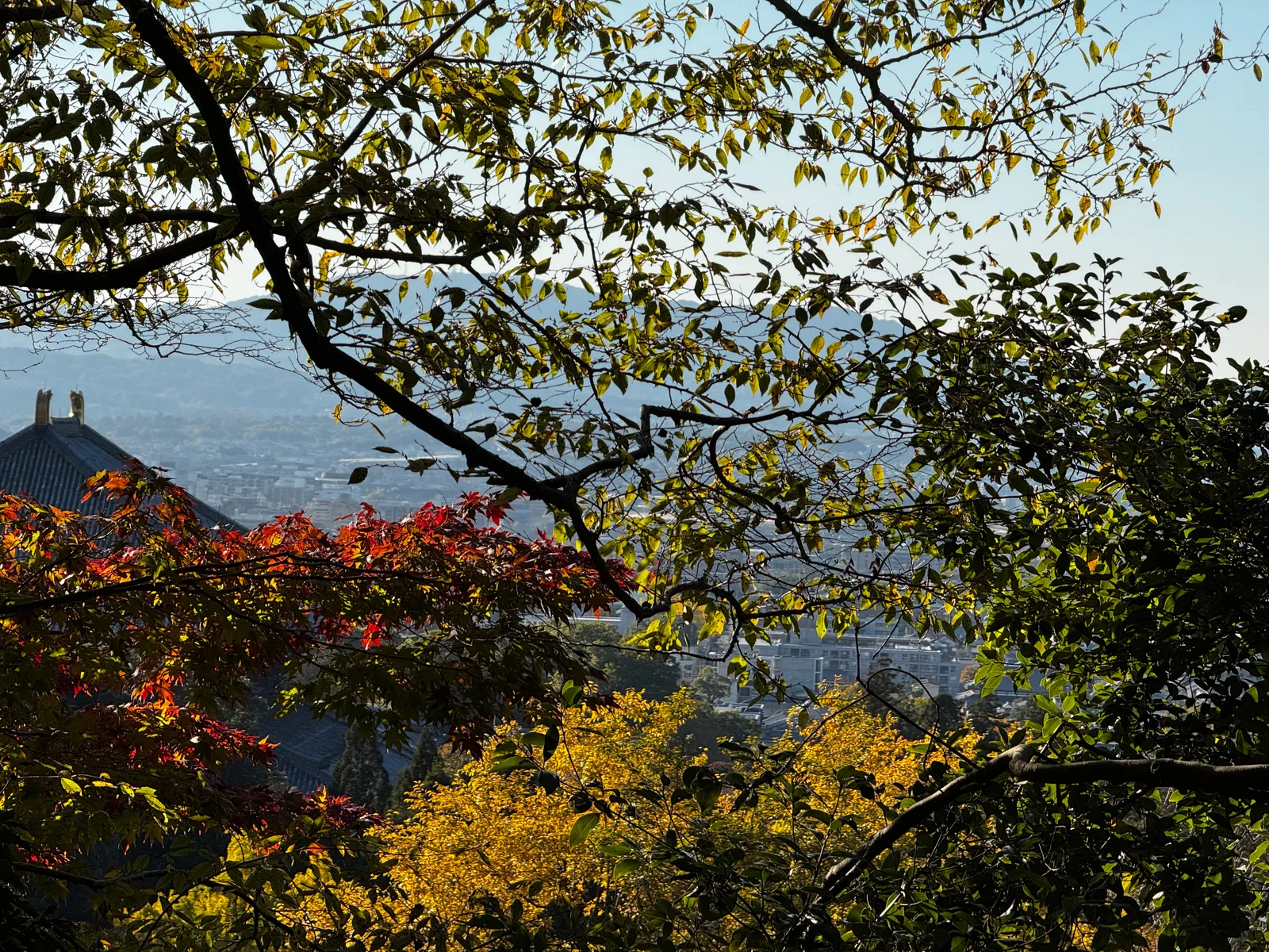 Nara-shi, Japan — 25 November 2024