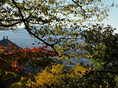 Nara-shi, Japan — 25 November 2024