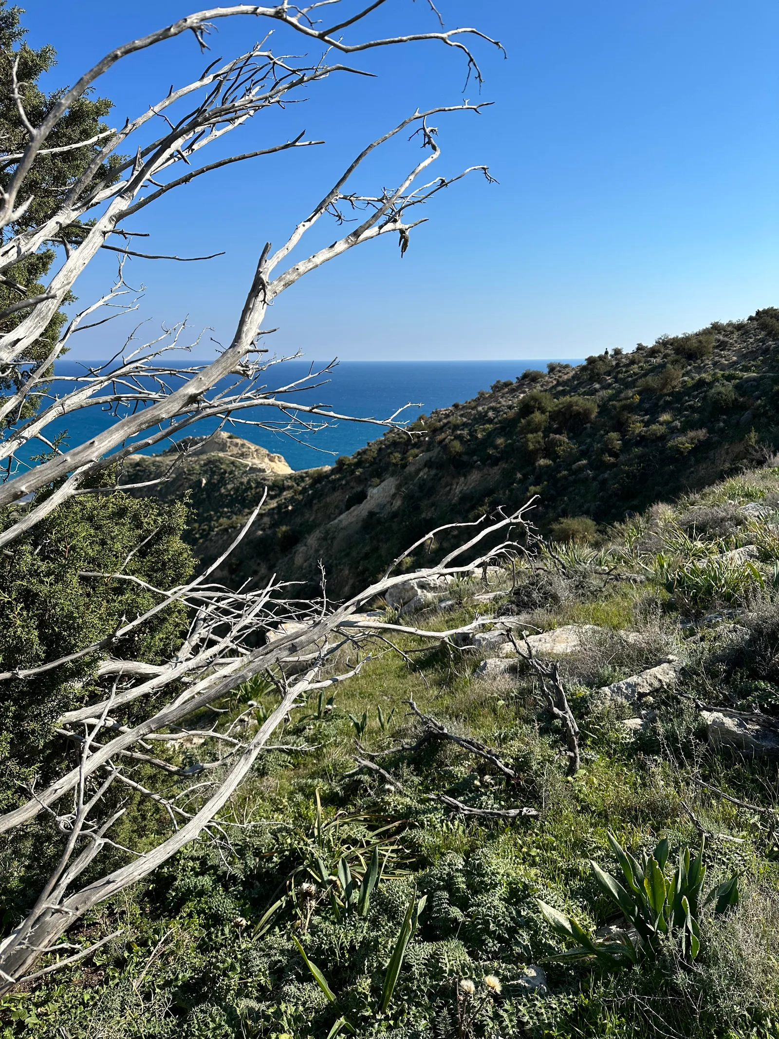 Pissoúri, Cyprus — 19 February 2023