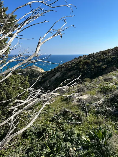 Pissoúri, Cyprus — 19 February 2023