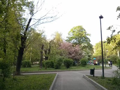 Photo from 12 May 2014