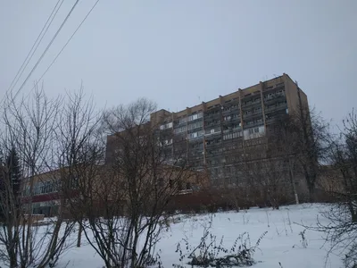 Photo from 8 December 2016