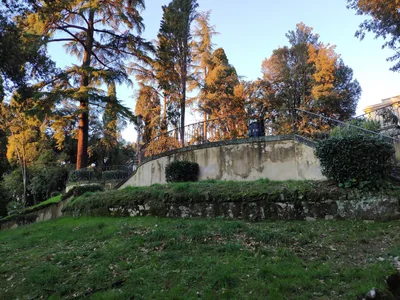 Photo from 10 December 2018