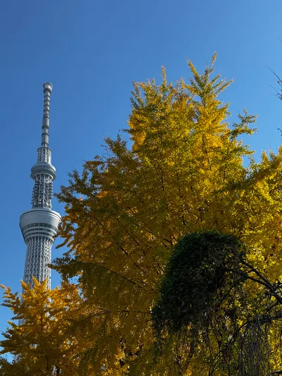 Asakusa, Japan — 2 December 2024