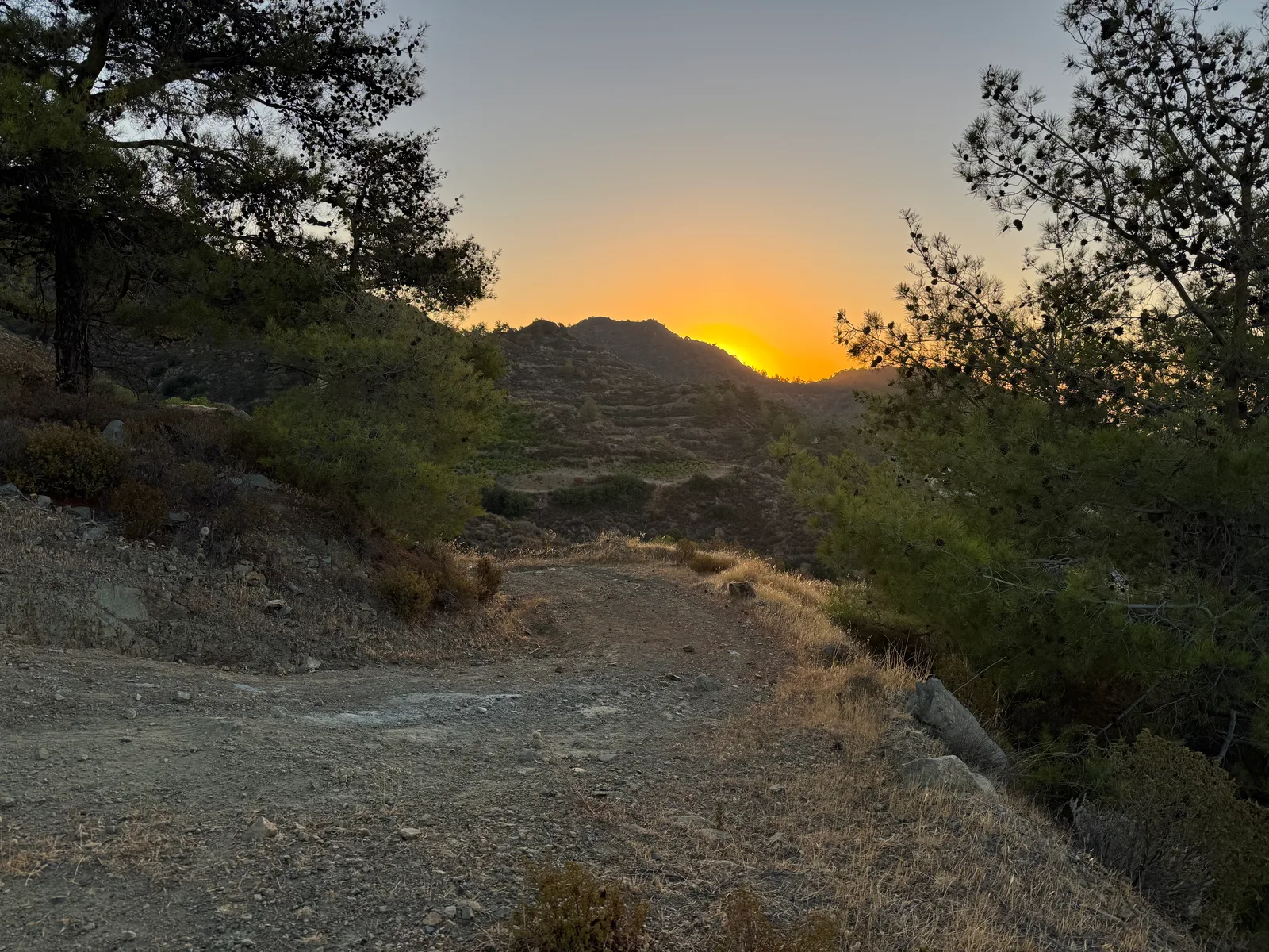 Peléndri, Cyprus — 16 August 2025