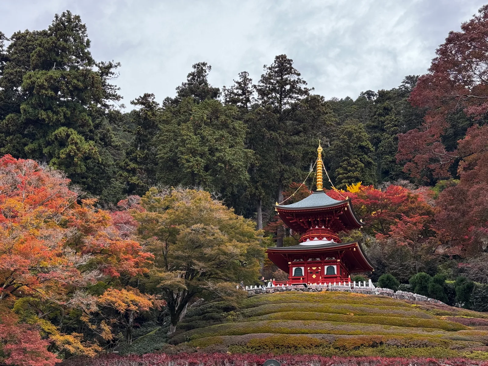 Minoh, Japan — 26 November 2024