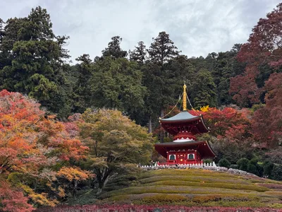 Minoh, Japan — 26 November 2024