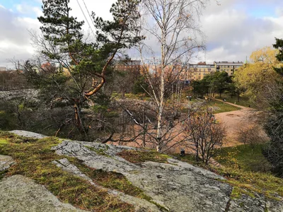 Photo from 4 November 2018