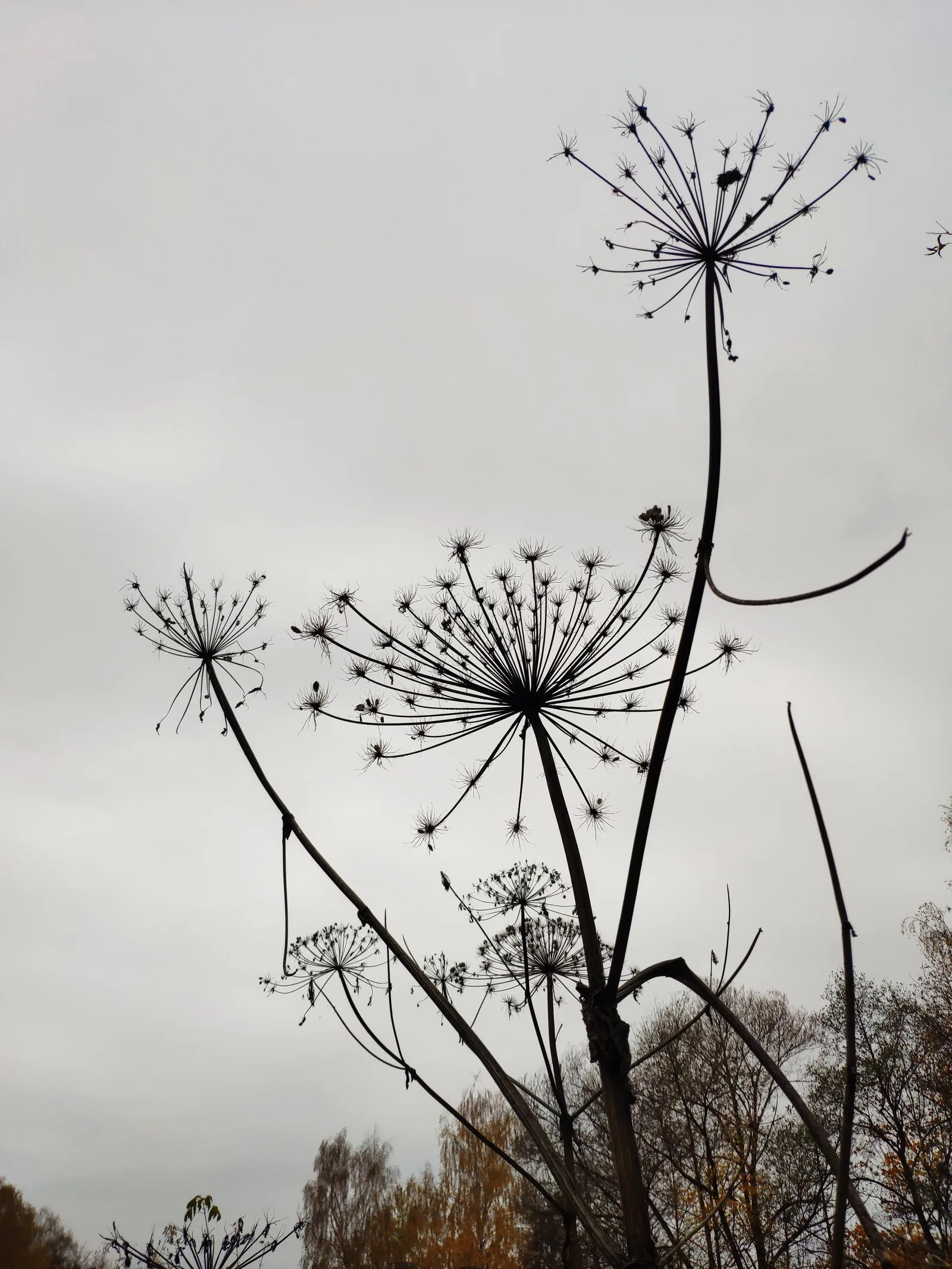 Photo from 12 October 2019