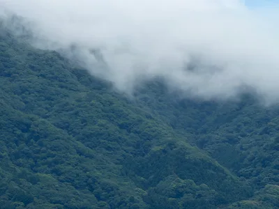 Matsuzaki, Japan — 19 June 2026