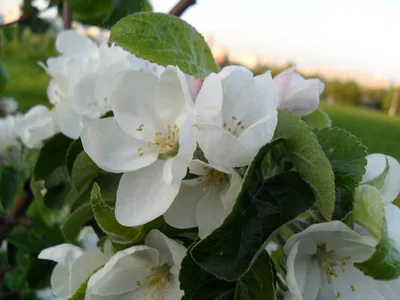 Photo from 16 May 2011