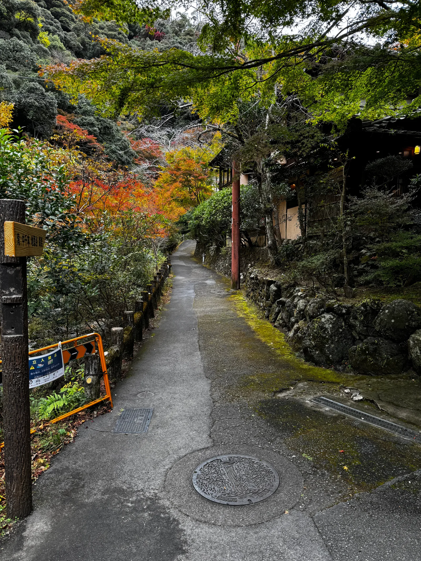 Minoh, Japan — 26 November 2024