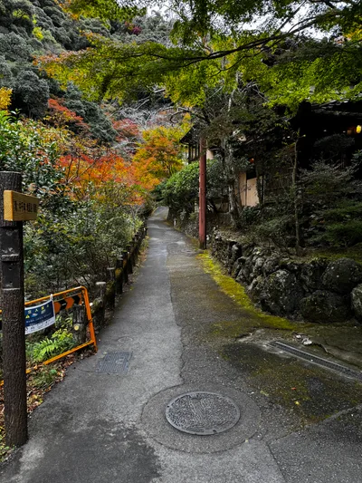 Minoh, Japan — 26 November 2024