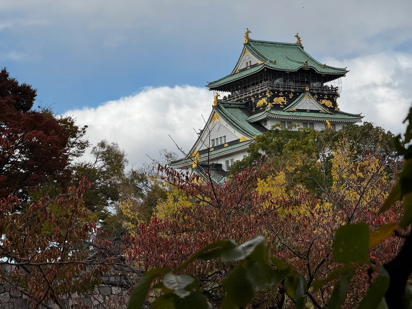 Ajiharacho, Japan — 23 November 2024