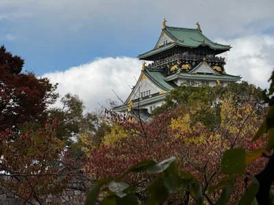 Ajiharacho, Japan — 23 November 2024