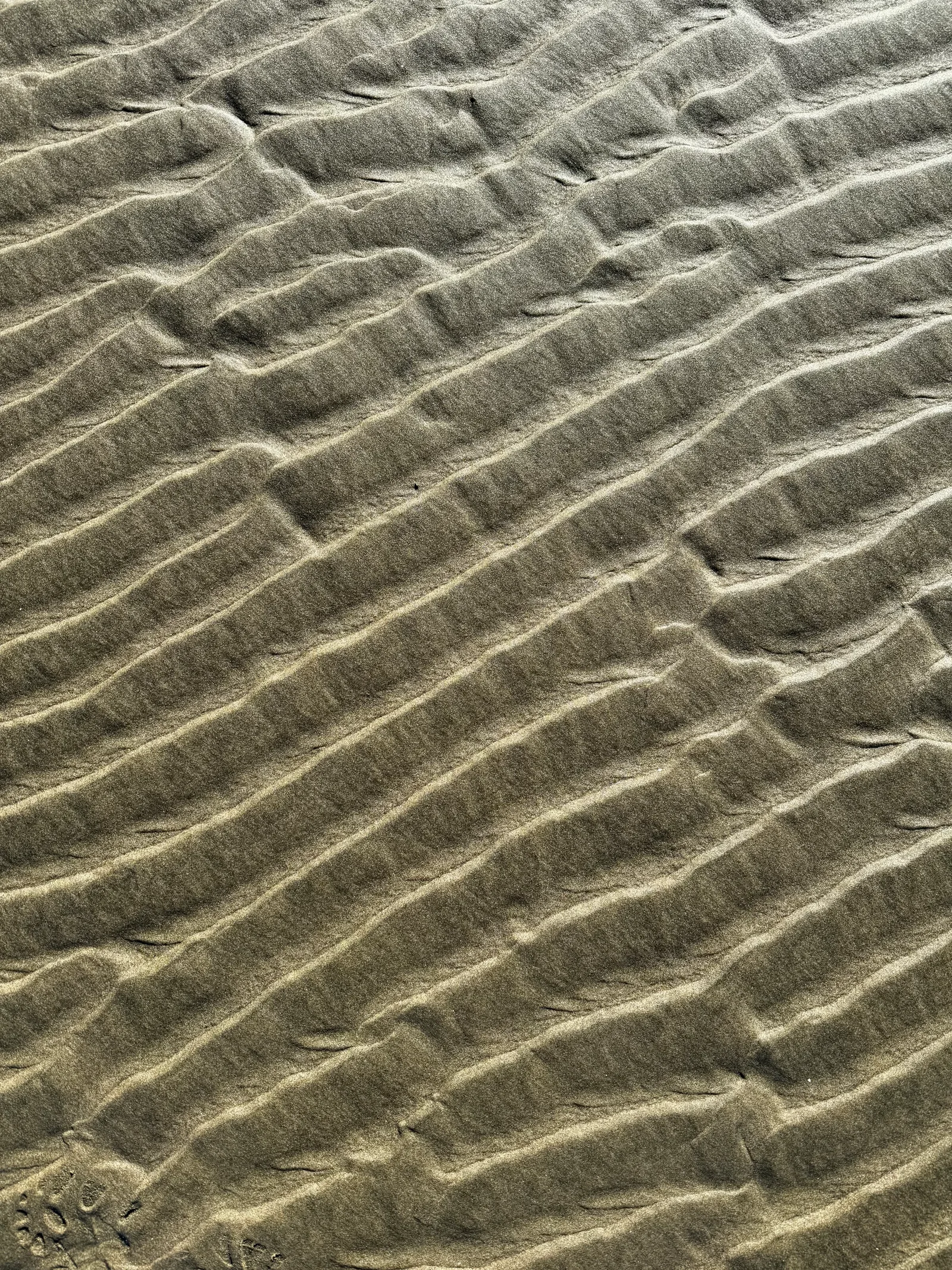 Waldport, United States — 26 August 2024