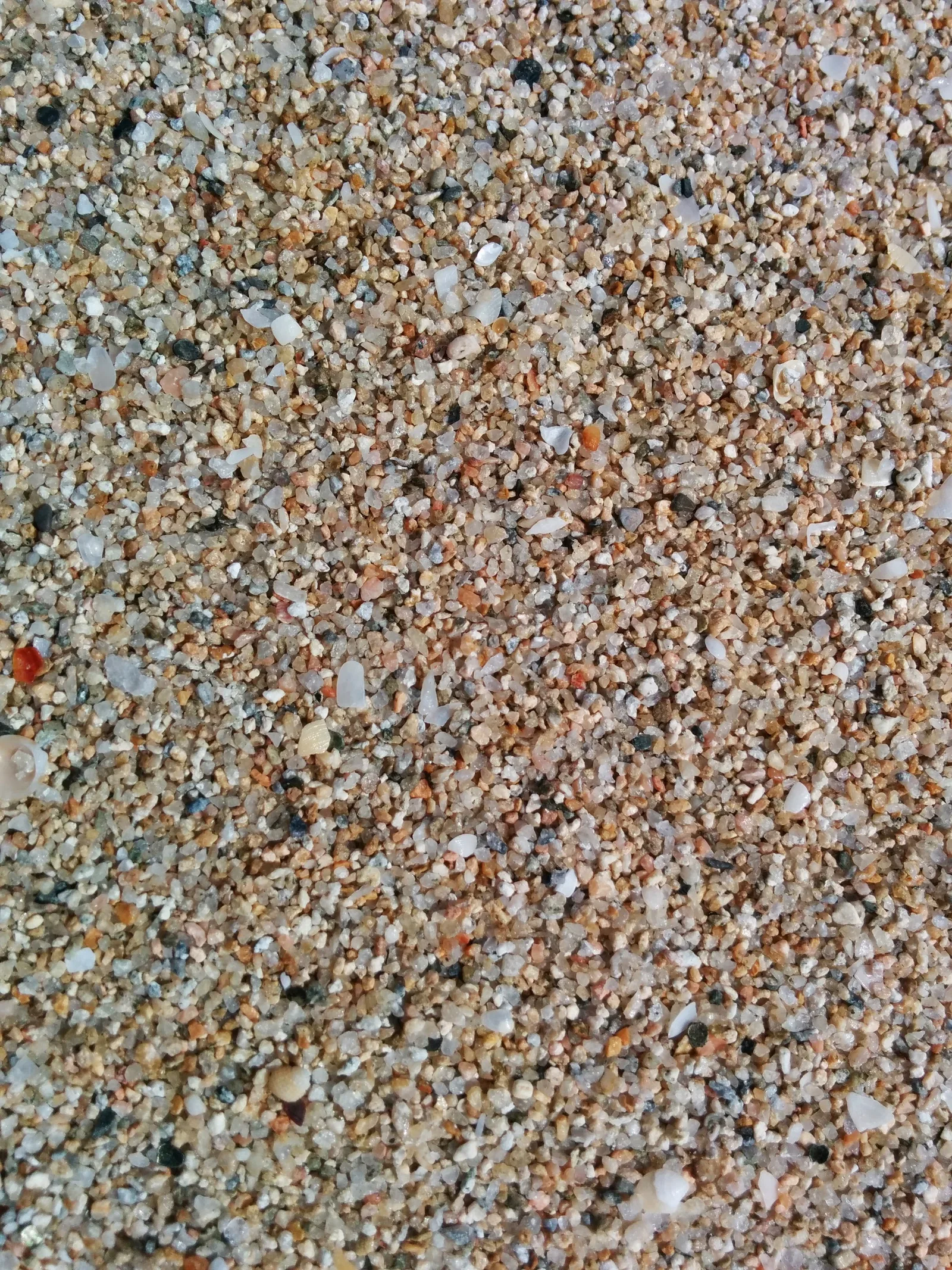 Photo from 1 April 2014