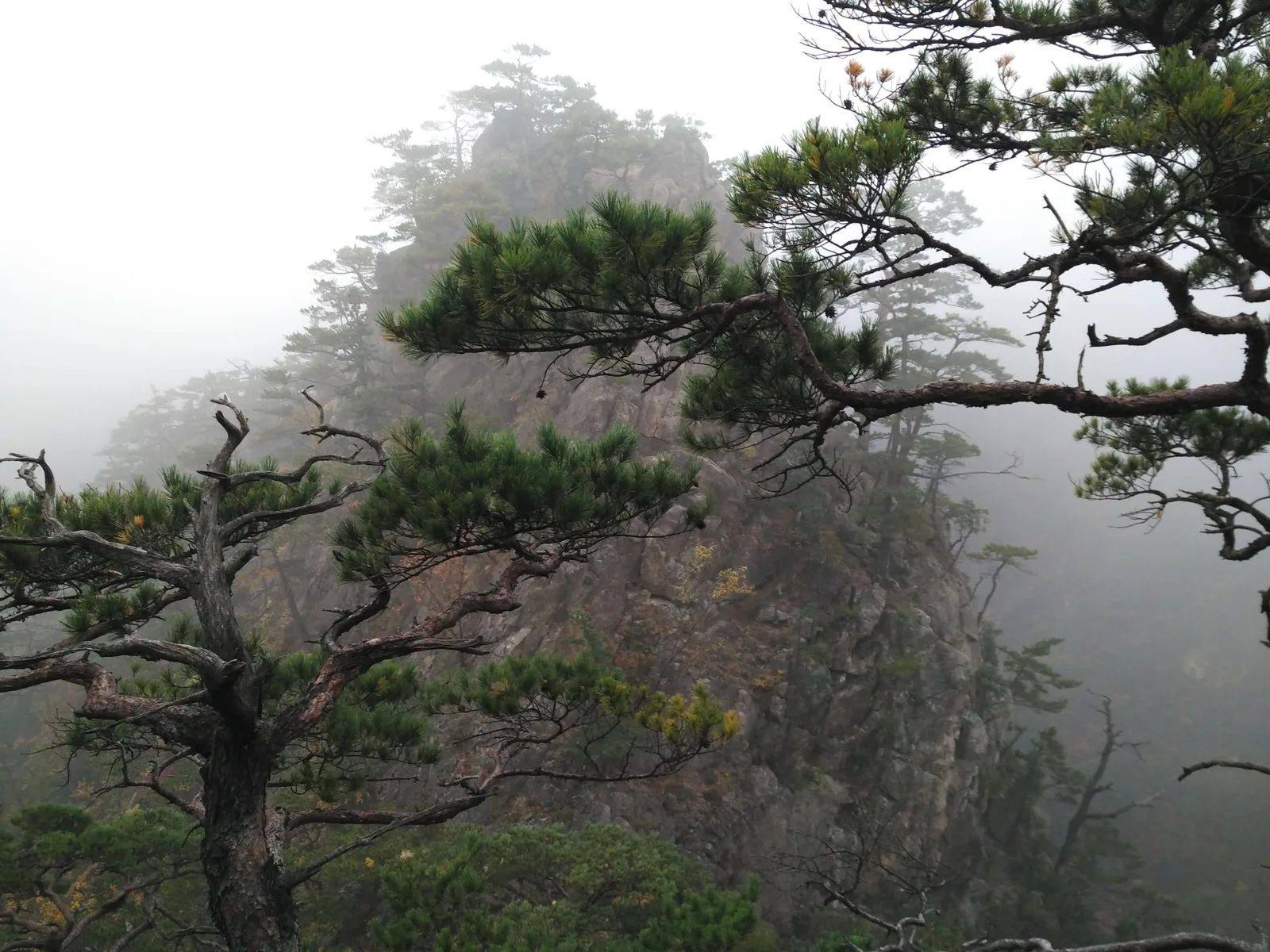 Sokcho, South Korea — 20 October 2016