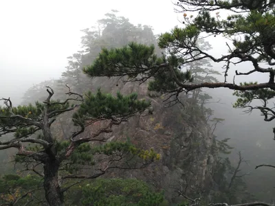 Sokcho, South Korea — 20 October 2016