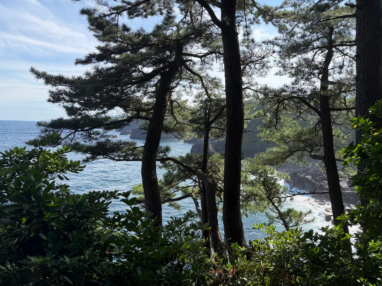 Itō, Japan — 21 June 2026