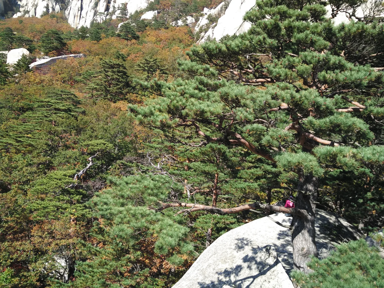 Sokcho, South Korea — 19 October 2016