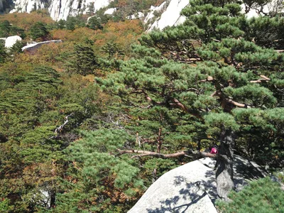 Sokcho, South Korea — 19 October 2016