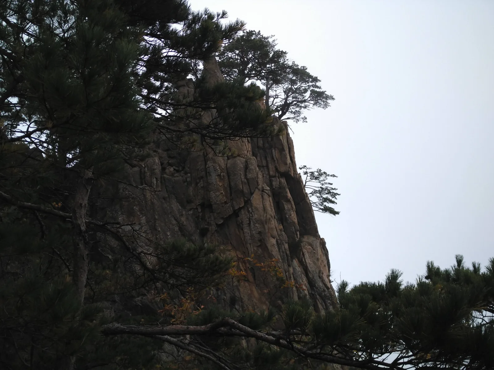 Sokcho, South Korea — 20 October 2016