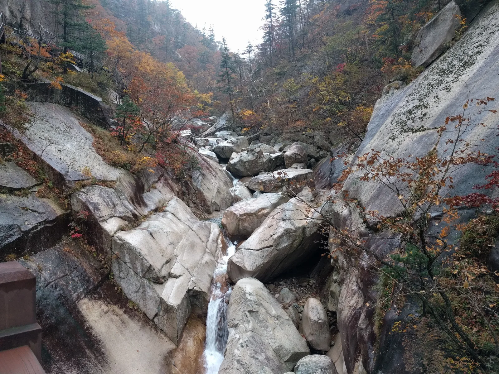 Sokcho, South Korea — 21 October 2016