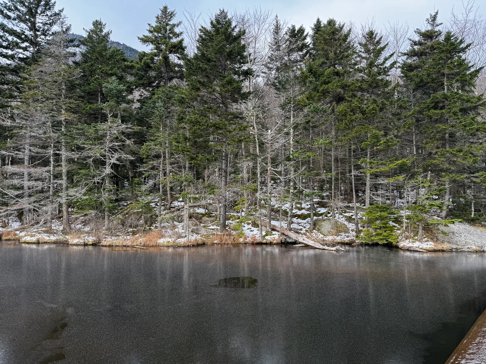 Woodstock, United States — 12 November 2023