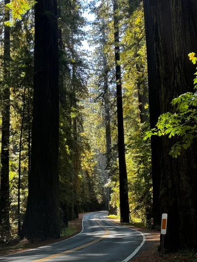 Redway, United States — 28 August 2024