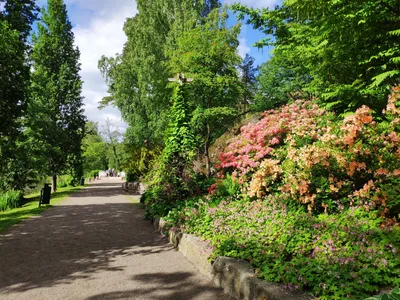 Photo from 15 June 2019