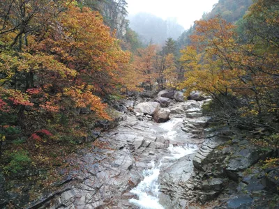 Photo from 21 October 2016
