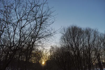 Photo from 15 December 2013