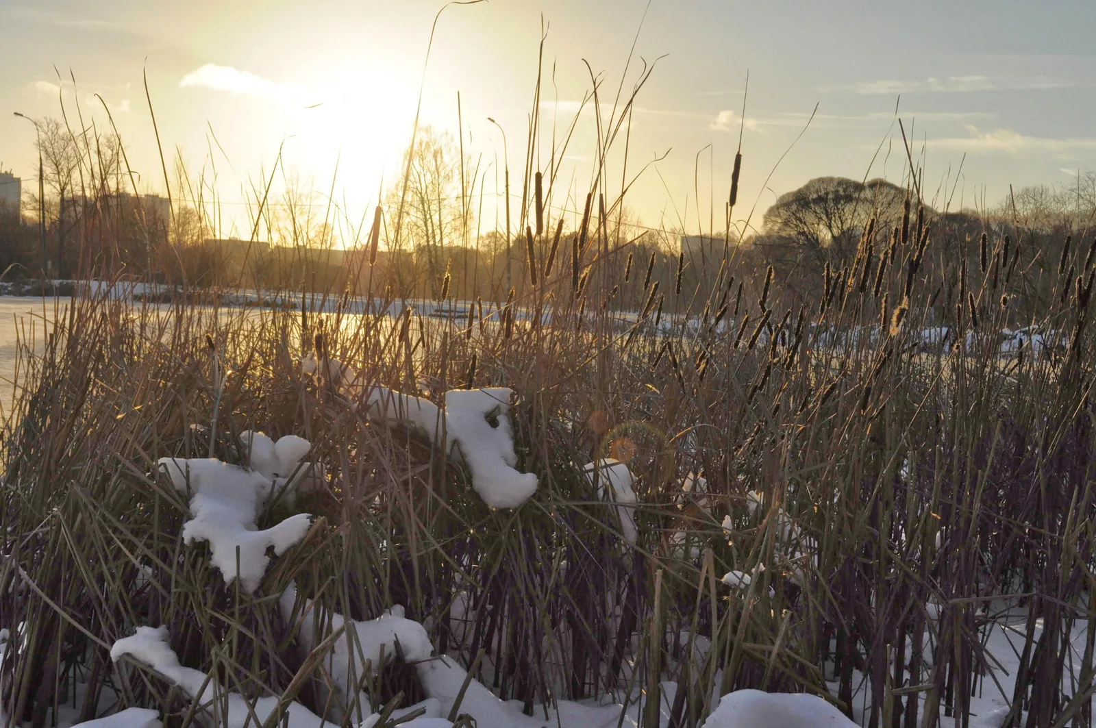 Photo from 15 December 2013