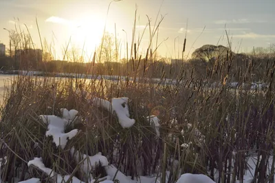 Photo from 15 December 2013