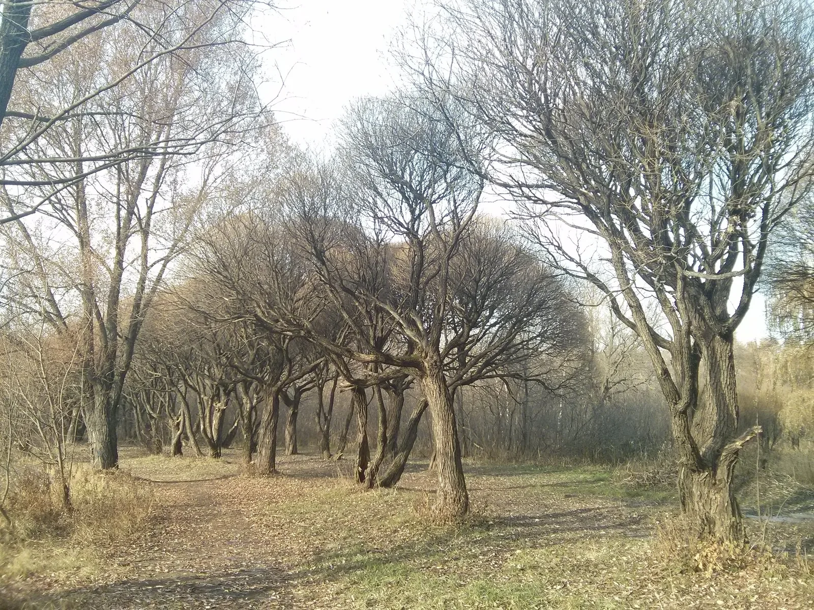 Photo from 26 October 2014