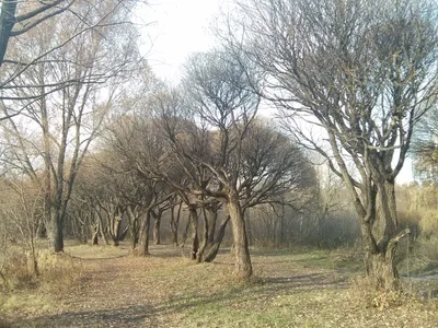Photo from 26 October 2014