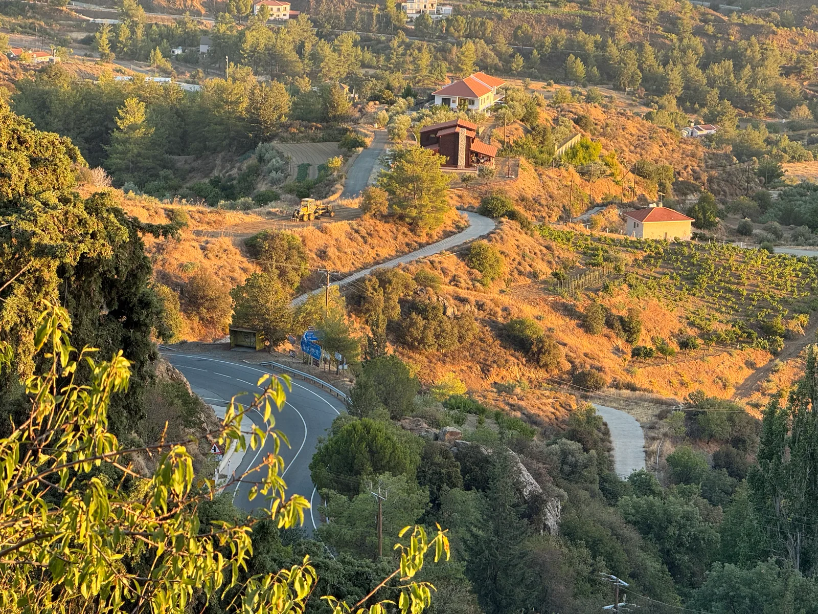 Peléndri, Cyprus — 15 August 2025
