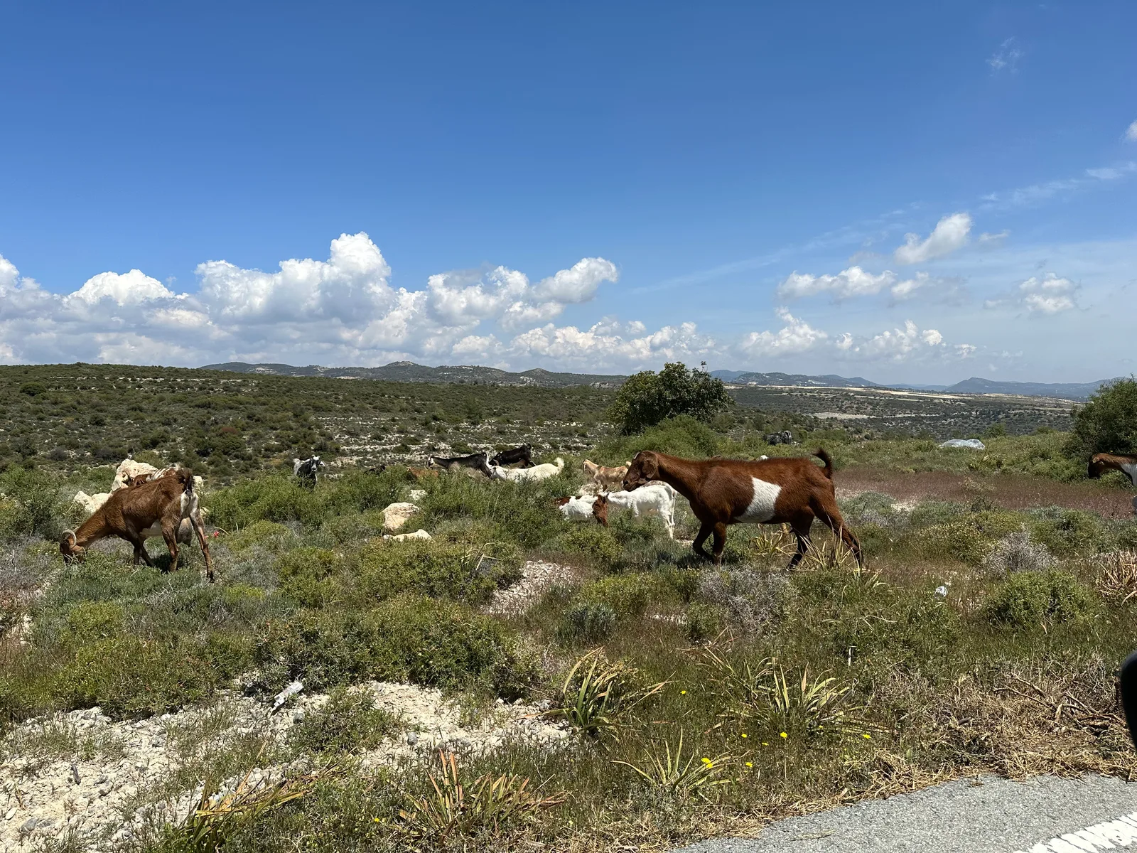 Sotíra, Cyprus — 22 April 2023