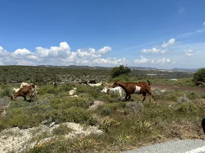 Sotíra, Cyprus — 22 April 2023